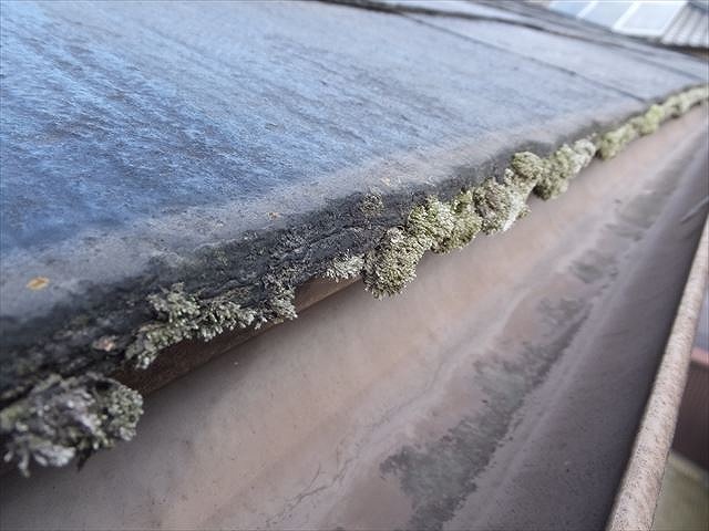 苔が発生したカラーベストの先端